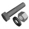 Stainless Steel Bolt, 1/4 in x 3/4 in