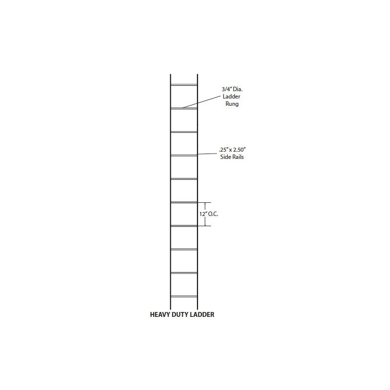 HEAVY DUTY LADDER 10\'