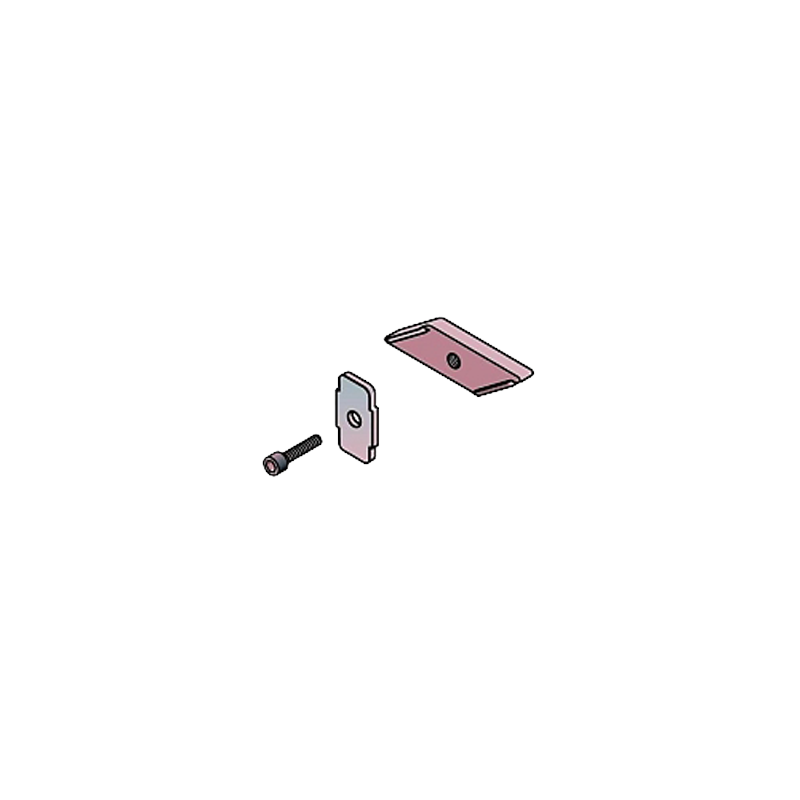 RSB clamping plate for anchor bar including reiforcement plate and screw