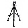 Hercules Series Tripod, No Column