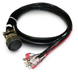 100ft - Full 2-Port...